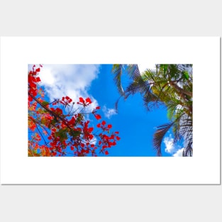 Beautiful sky with trees, clouds, leaves and flowers. Posters and Art